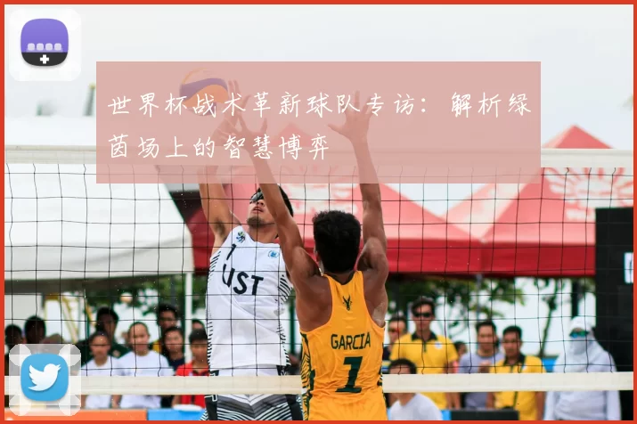 世界杯战术革新球队专访:解析绿茵场上的智慧博弈