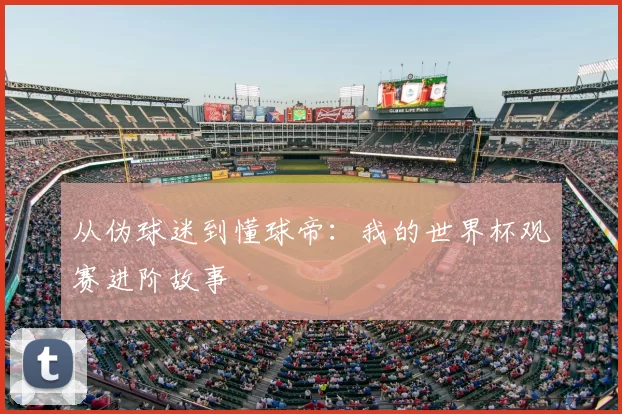 从伪球迷到懂球帝:我的世界杯观赛进阶故事