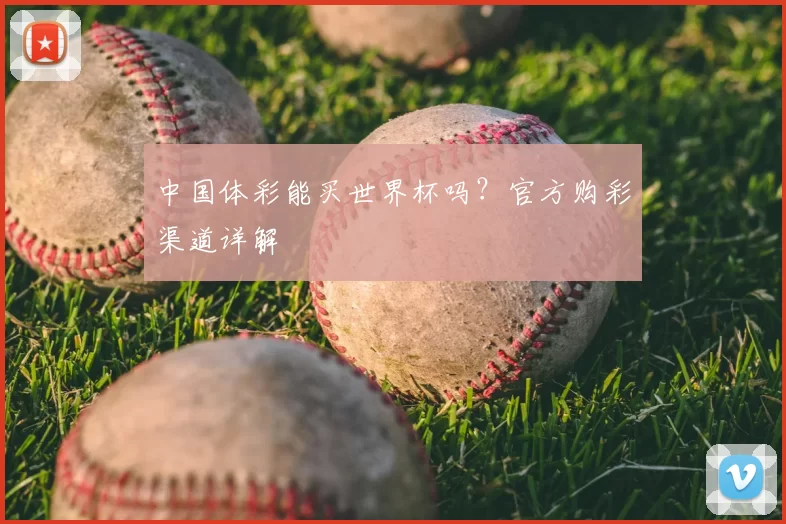 中国体彩能买世界杯吗?官方购彩渠道详解