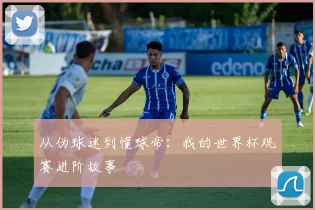 从伪球迷到懂球帝：我的世界杯观赛进阶故事