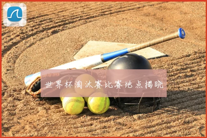 世界杯淘汰赛比赛地点揭晓