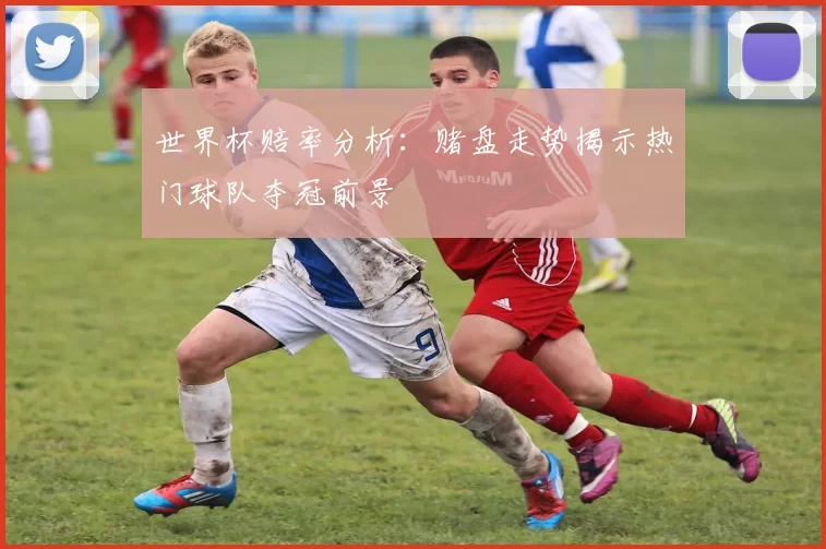 世界杯赔率分析:赌盘走势揭示热门球队夺冠前景